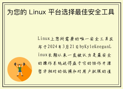 为您的 Linux 平台选择最佳安全工具 